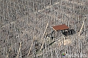 VBS_1141 - Santo Stefano Roero
